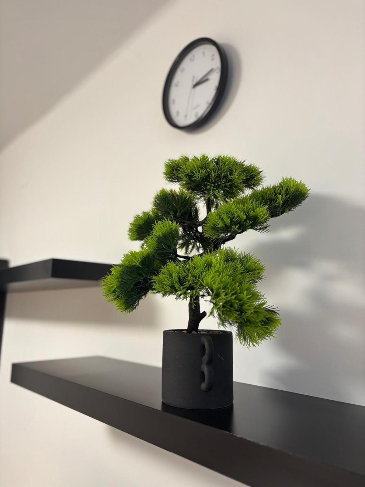 Hajdúszoboszló Agora Apartman מראה חיצוני תמונה